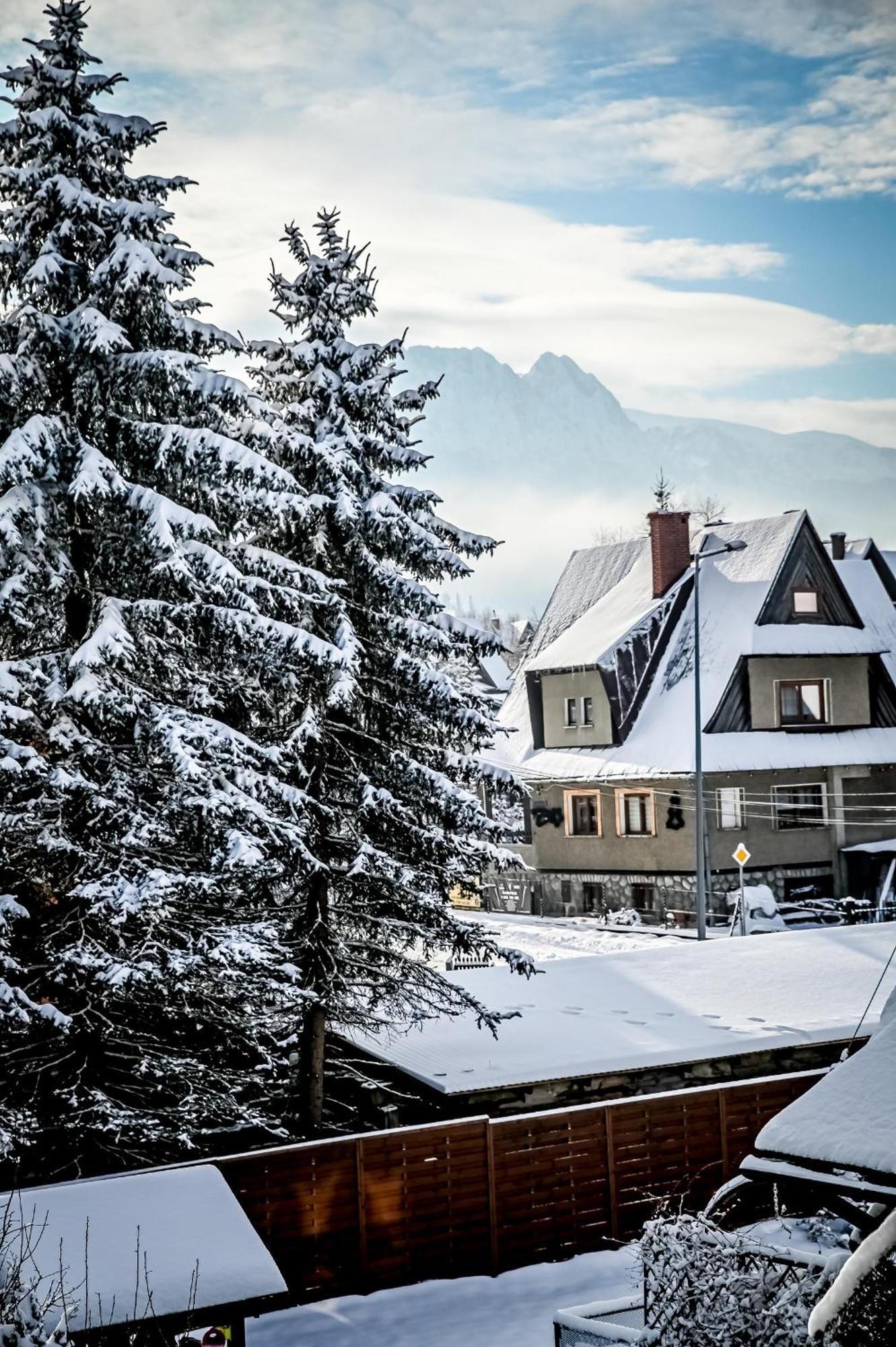 Tatarek Zakopane Bed & Breakfast Eksteriør bilde